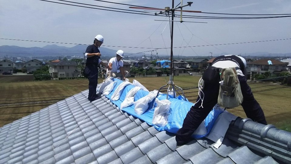 熊本地震の災害調査