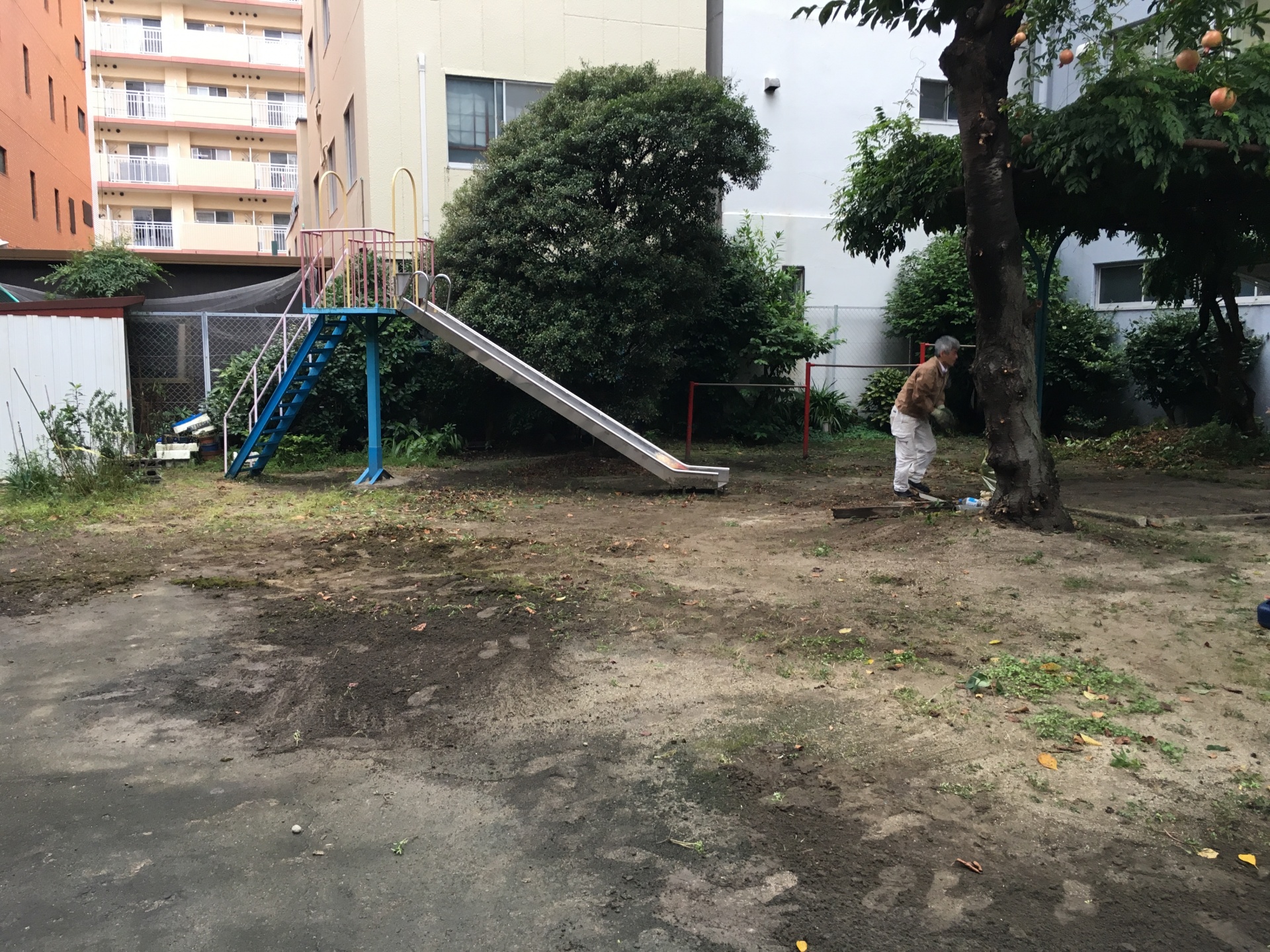 会社前の公園　清掃いたしました。